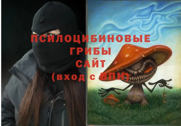 сатива Абаза