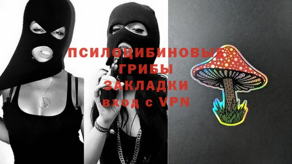 сатива Абаза