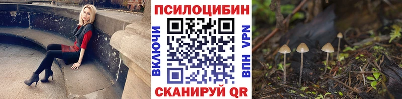 Псилоцибиновые грибы Psilocybine cubensis  ссылка на мегу как зайти  Удомля  сколько стоит 