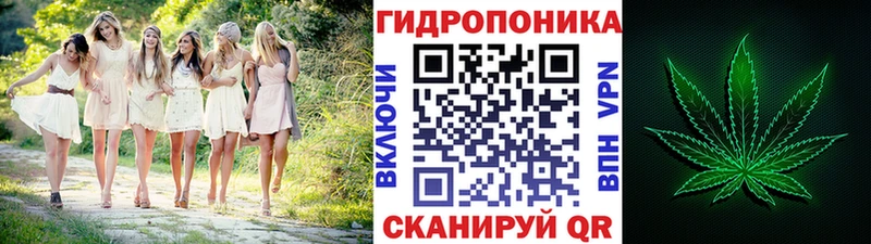где можно купить наркотик  гидра сайт  Каннабис семена  Удомля 